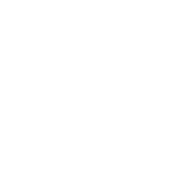 Bike Riders