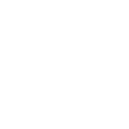 Auto Riders